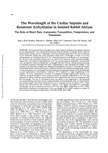 The Wavelength of the Cardiac Impulse and Reentrant Arrhythmias