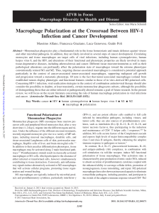 Macrophage Polarization at the Crossroad Between HIV