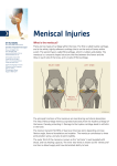 Meniscal Injuries