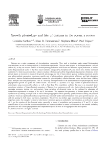 Growth physiology and fate of diatoms in the ocean: a review