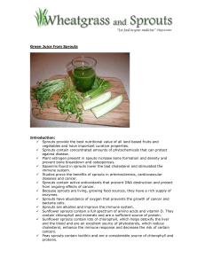 Green Juice from Sprouts - Wheatgrass and Sprouts, LLC