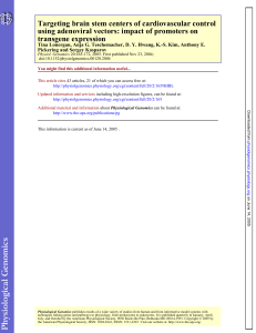 transgene expression using adenoviral vectors: impact of promoters