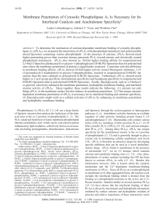 Membrane Penetration of Cytosolic Phospholipase A2 Is Necessary