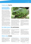 Keeping pools frog-free new digital resource for small business