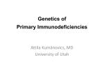 Genetics of Primary Immunodeficiencies