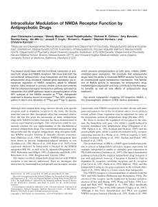 Intracellular Modulation of NMDA Receptor Function by