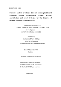 Proteome analysis of tobacco BY-2 cell culture - ETH E