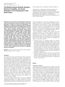 The Relation between Dendritic Geometry