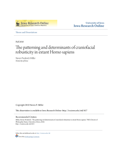 The patterning and determinants of craniofacial robusticity in extant