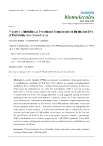 N-acetyl-L-histidine, a Prominent Biomolecule in Brain and Eye of