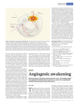 nature angiogenic awakening 8-2