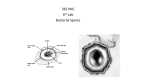 362 MIC Bacterial Spores