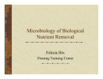 Microbiology of Biological Nutrient Removal
