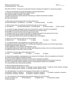 Biology 20 Laboratory Quiz Quiz # Animal Reproduction – Take