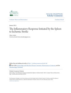 The Inflammatory Response Initiated by the Spleen to Ischemic Stroke