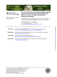 Immune Recognition HLA-E, F, and G in Maternal