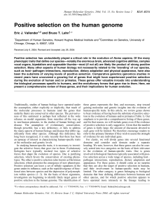 Positive selection on the human genome