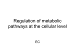 Regulation of metabolic pathways at the cellular level