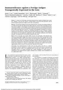 Immunotolerance against a foreign antigen transgenically