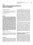 Mitochondria-dependent apoptosis and cellular pH regulation