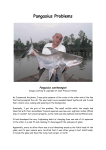 Pangasius Problems - Big Fish Campaign