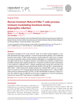 Human Invariant Natural Killer T cells possess