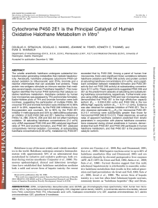 Cytochrome P450 2E1 is the Principal Catalyst of Human Oxidative
