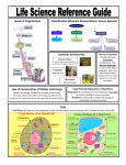 Levels of Organization Classification