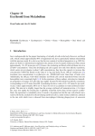 Erythroid Iron Metabolism