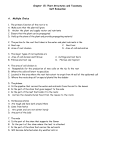 Chapter 15: Plant Structures and Taxomony Self Evaluation A