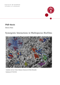 Synergistic Interactions in Multispecies Biofilms