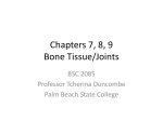 Chapters 7, 8, 9 Bone Tissue/Joints