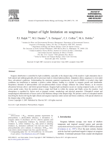 Impact of light limitation on seagrasses