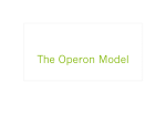 The Operon Model
