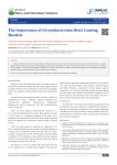 The Importance of Corynebacterium Bovis Causing Mastitis