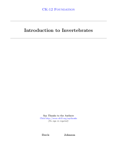 Introduction to Invertebrates