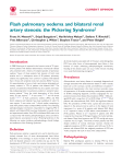 Flash pulmonary oedema and bilateral renal artery stenosis: the