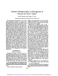 Oxidative Phosphorylation in Homogenates of