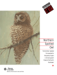 Northern Spotted Owl - Province of British Columbia