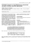 Nucleotide sequence of the Streptococcus pneumoniae ung gene