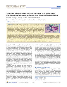 Structural and Biochemical Characterization of a Bifunctional