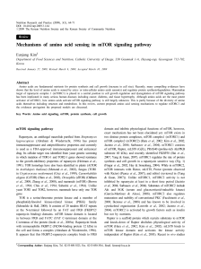 Mechanisms of amino acid sensing in mTOR signaling pathway