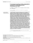 A novel gene encoding a 54 kDa polypeptide is