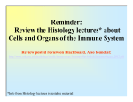 Reminder: Review the Histology lectures* about Cells and Organs of