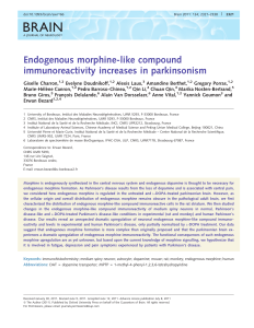 Endogenous morphine-like compound immunoreactivity increases