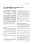 Folic Acid Fortification of Wheat Flour: Chile