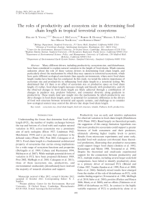 The roles of productivity and ecosystem size in determining food