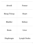 Print › EMS Life Science Human Body Organs Durden | Quizlet