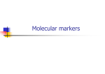 Molecular markers