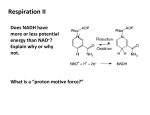 Respiration II